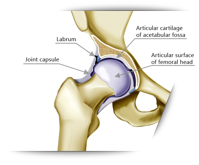 Icing (with REAL ice) Is Still The Best Recovery Method For Injuries and Pain